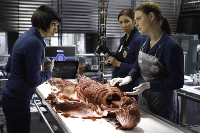 Still of Michaela Conlin, Emily Deschanel and Tamara Taylor in Kaulai (2005)