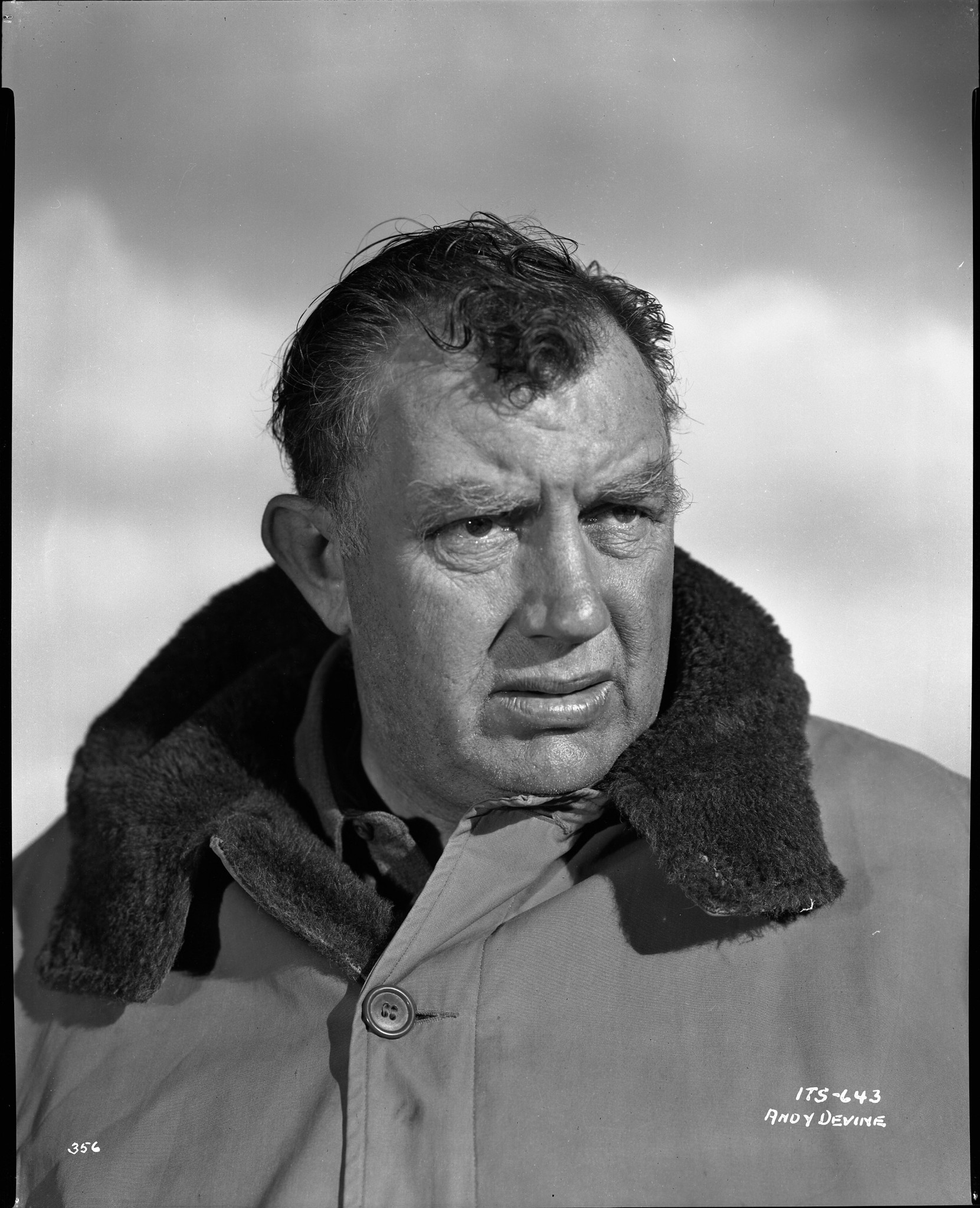 Still of Andy Devine in Island in the Sky (1953)