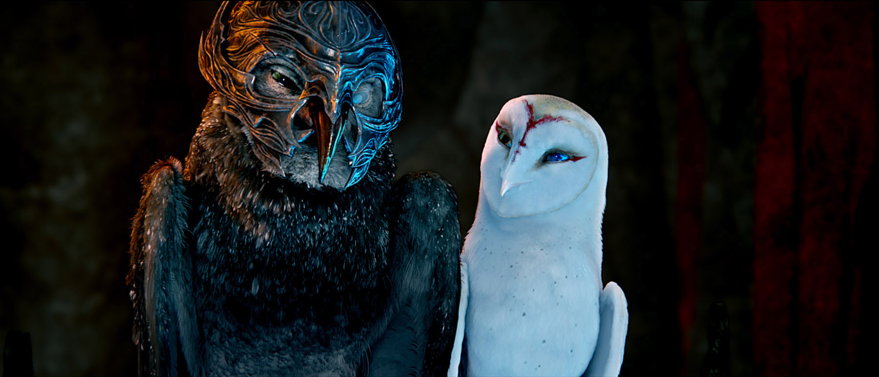 Still of Helen Mirren and Joel Edgerton in Legend of the Guardians: The Owls of Ga'Hoole (2010)