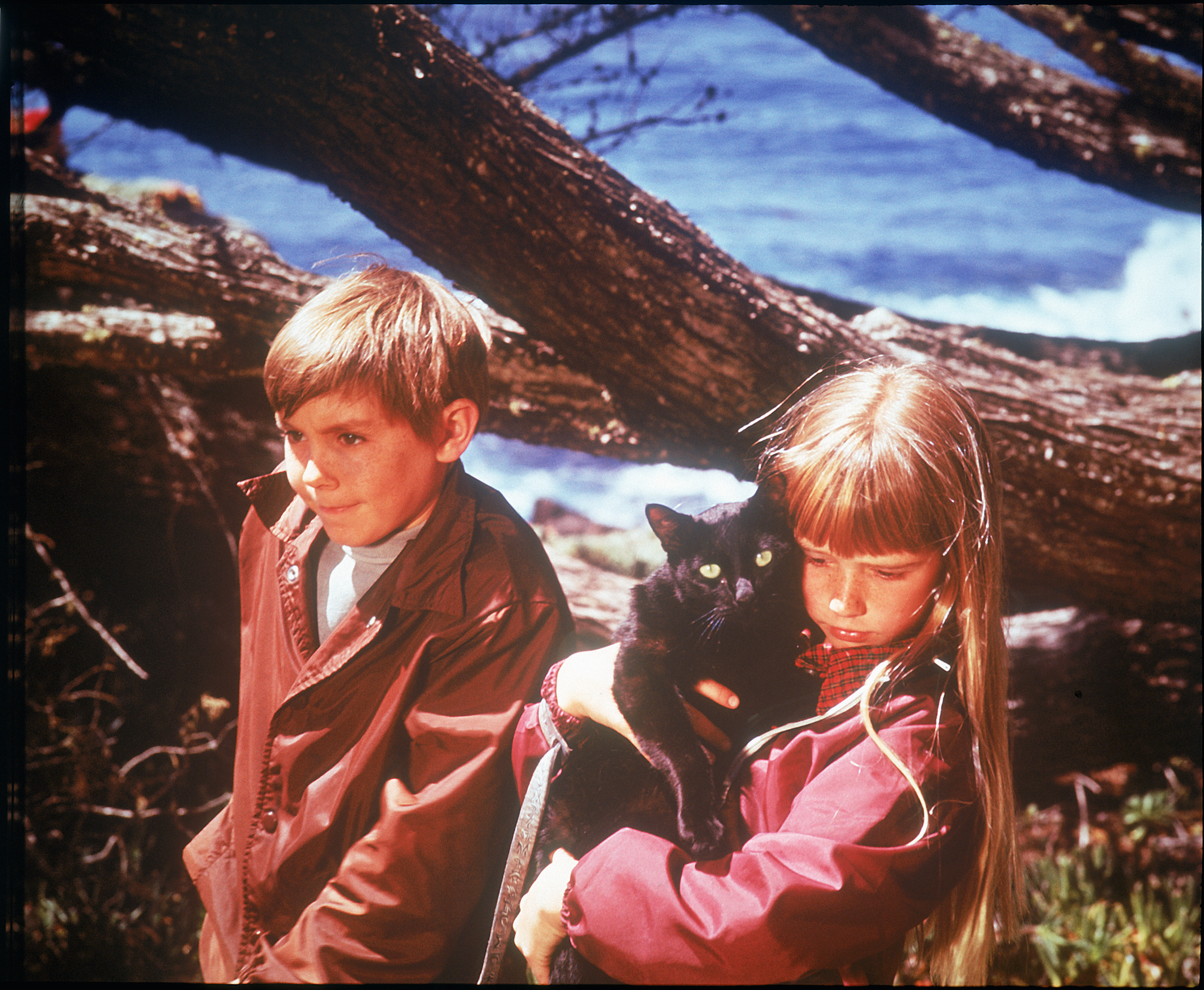 Still of Kim Richards and Ike Eisenmann in Escape to Witch Mountain (1975)