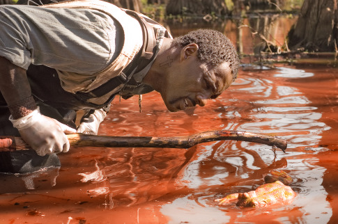 Still of Idris Elba in The Reaping (2007)