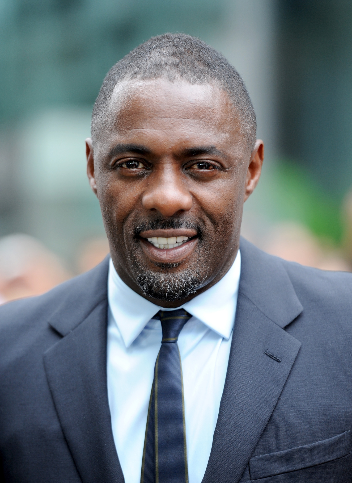 Idris Elba at event of Mandela: ilgas kelias i laisve (2013)