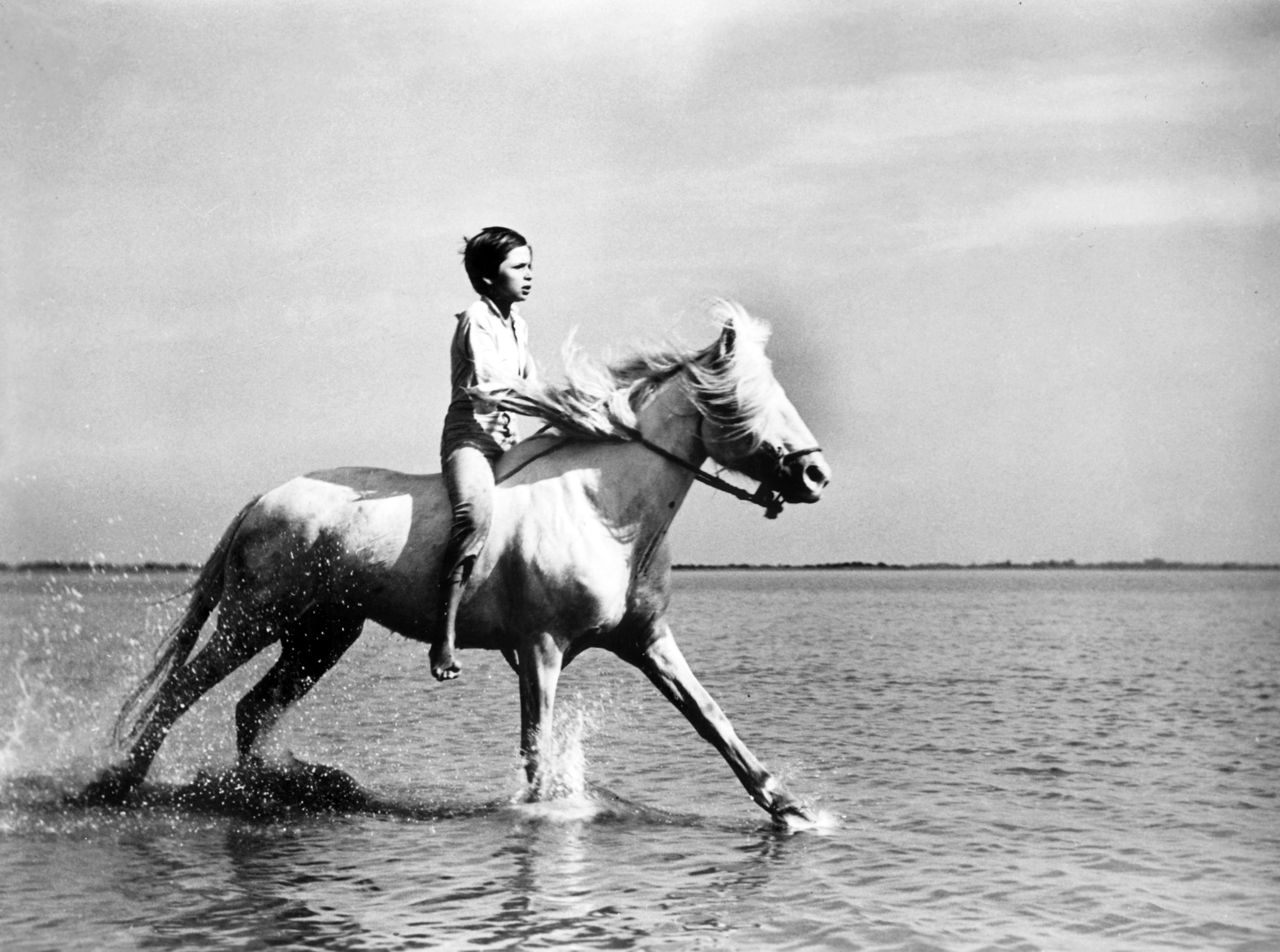 Still of Alain Emery in Crin blanc: Le cheval sauvage (1953)