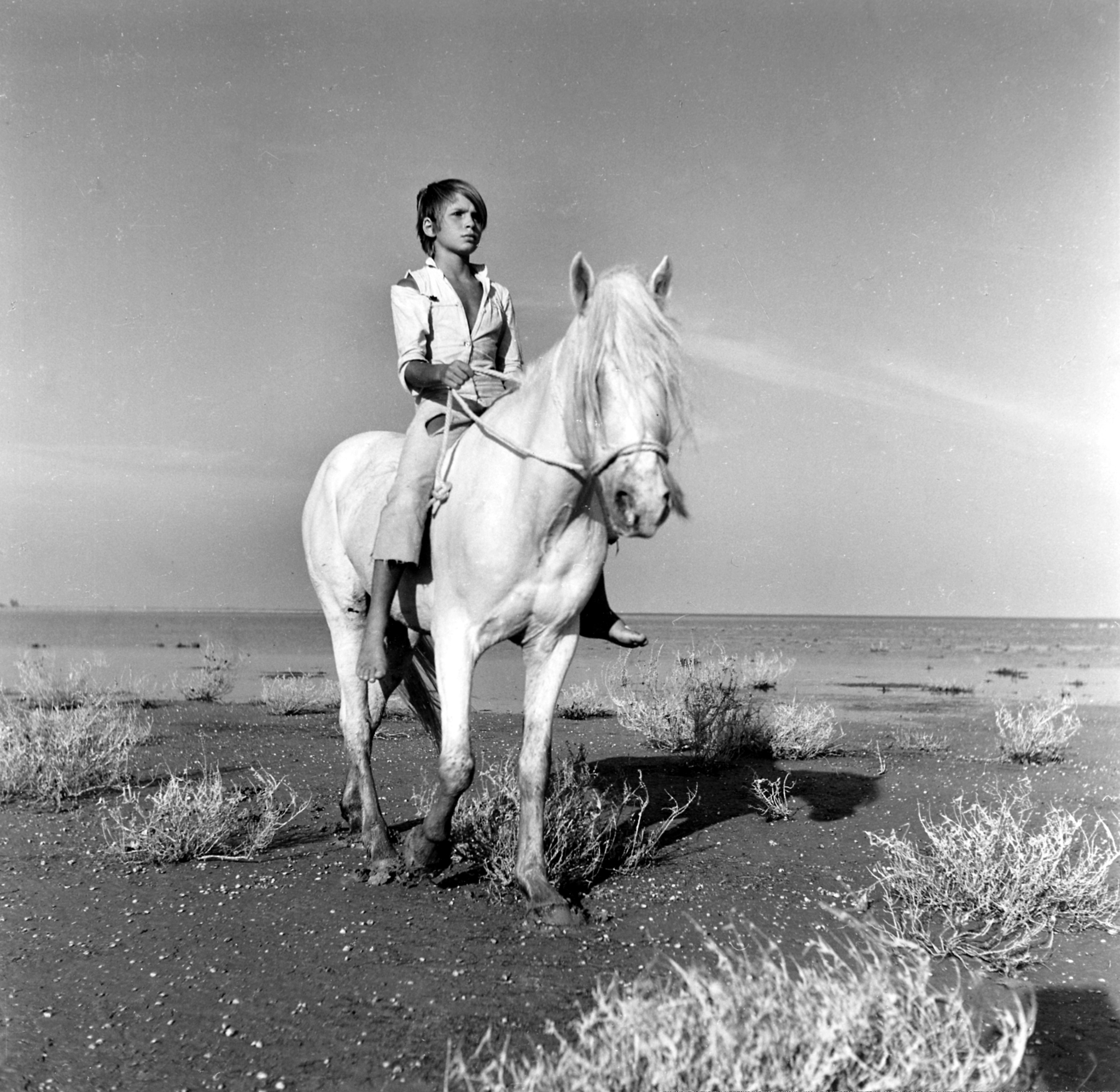 Still of Alain Emery in Crin blanc: Le cheval sauvage (1953)