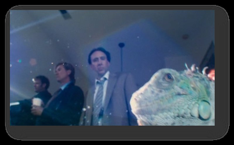 J.D. Evermore, Val Kilmer, Nicolas Cage, and Iguana in 