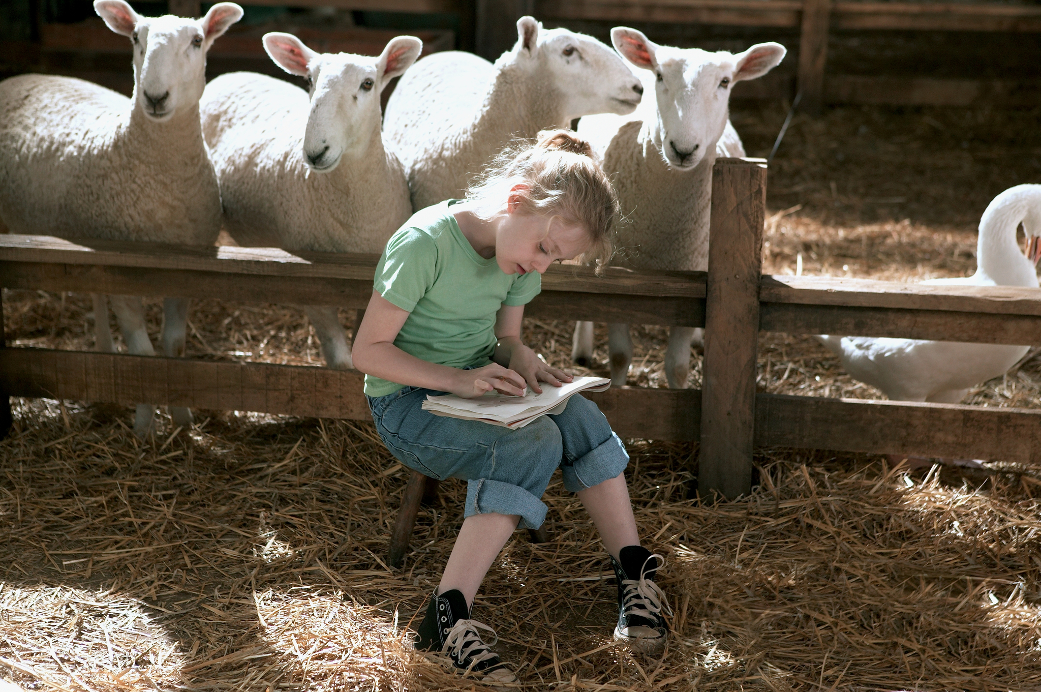 Still of Dakota Fanning in Charlotte's Web (2006)