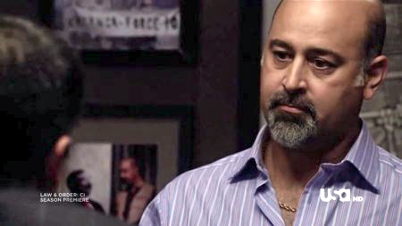 Ramsey Faragallah in Law & Order: Criminal Intent