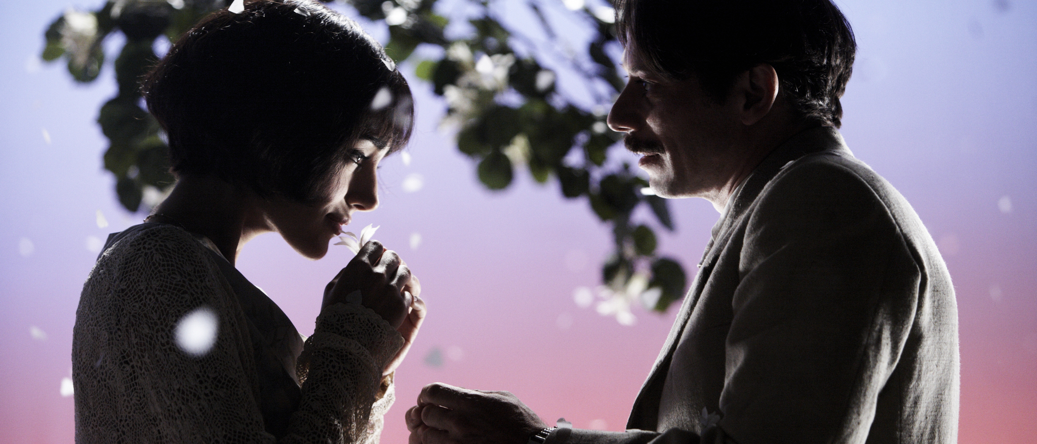 Still of Mathieu Amalric and Golshifteh Farahani in Poulet aux prunes (2011)