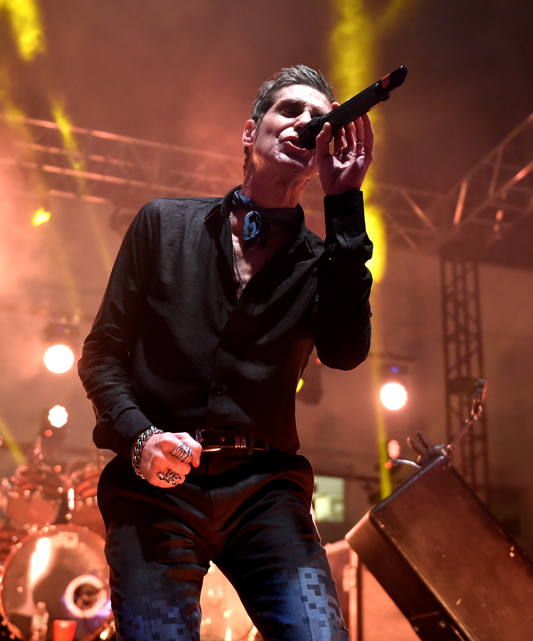 Perry Farrell at event of Entourage (2015)