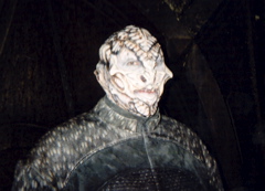 Ken Feinberg as the Alien Captain on Star Trek's ENTERPRISE.