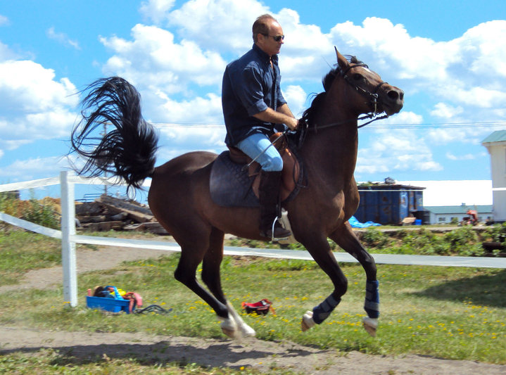 Julian Forbes on his horse Pravnika. c 2010 - NY