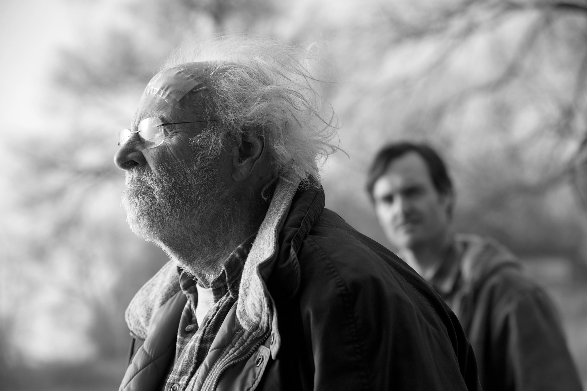 Still of Bruce Dern and Will Forte in Nebraska (2013)