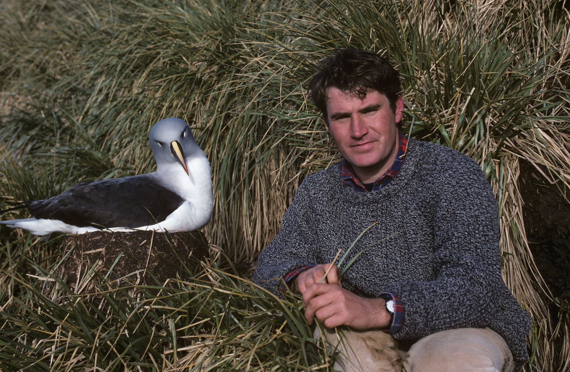 Still of Alastair Fothergill in African Cats (2011)