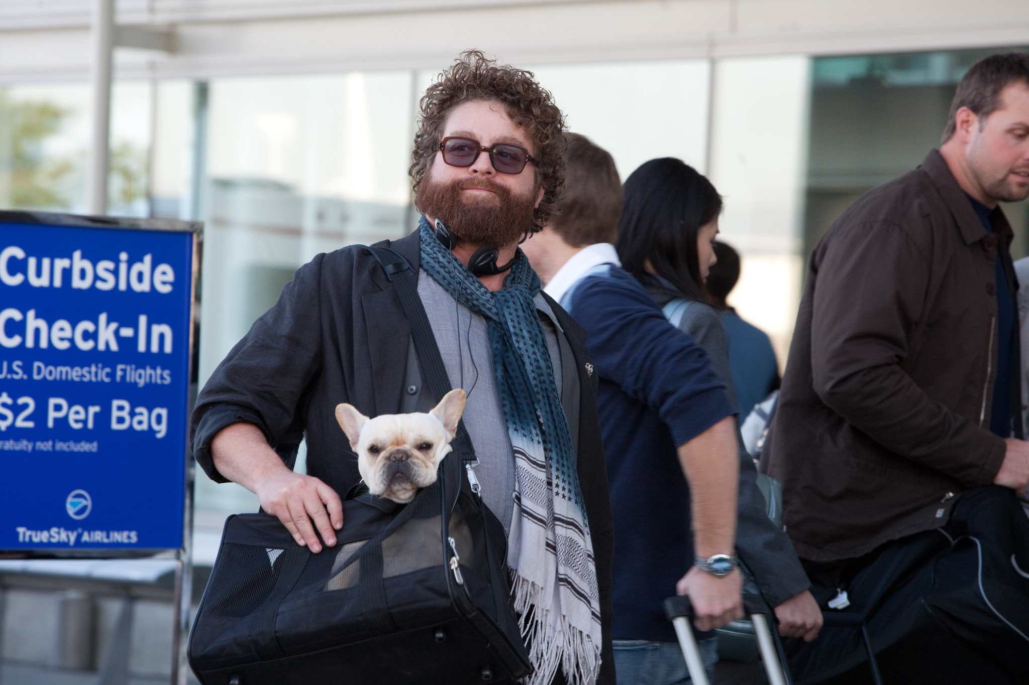 Still of Zach Galifianakis in Vingiuotas kelias namo (2010)