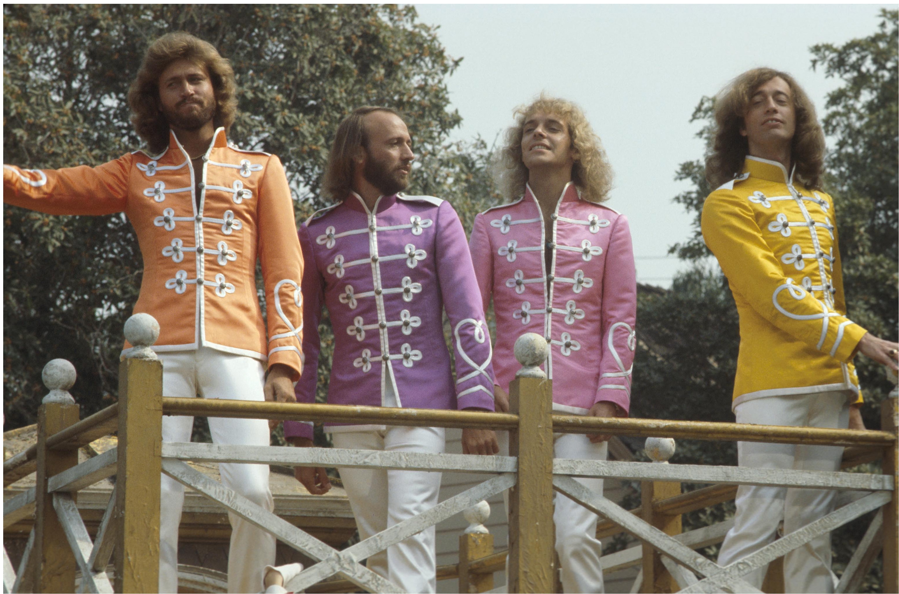 Still of Barry Gibb, Peter Frampton, Maurice Gibb, Robin Gibb and Heart in Sgt. Pepper's Lonely Hearts Club Band (1978)
