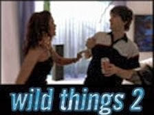 Brett Gilbert with Susan Ward in Wild Things 2