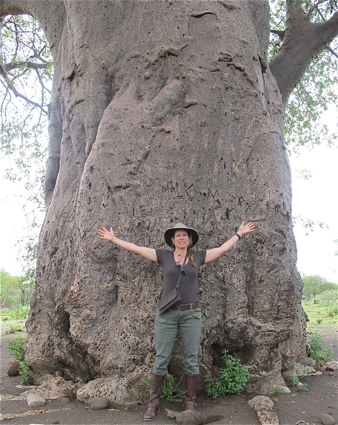 Baobab Tree, Tanzania