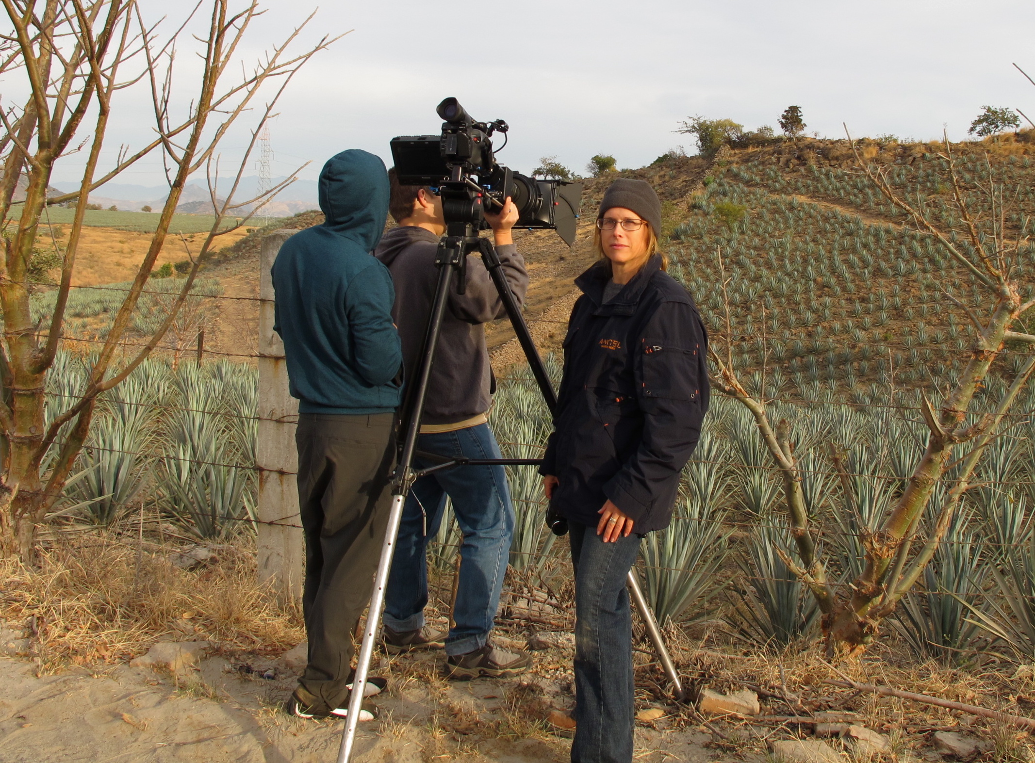 Agave Fields , Mexico Jan 2011