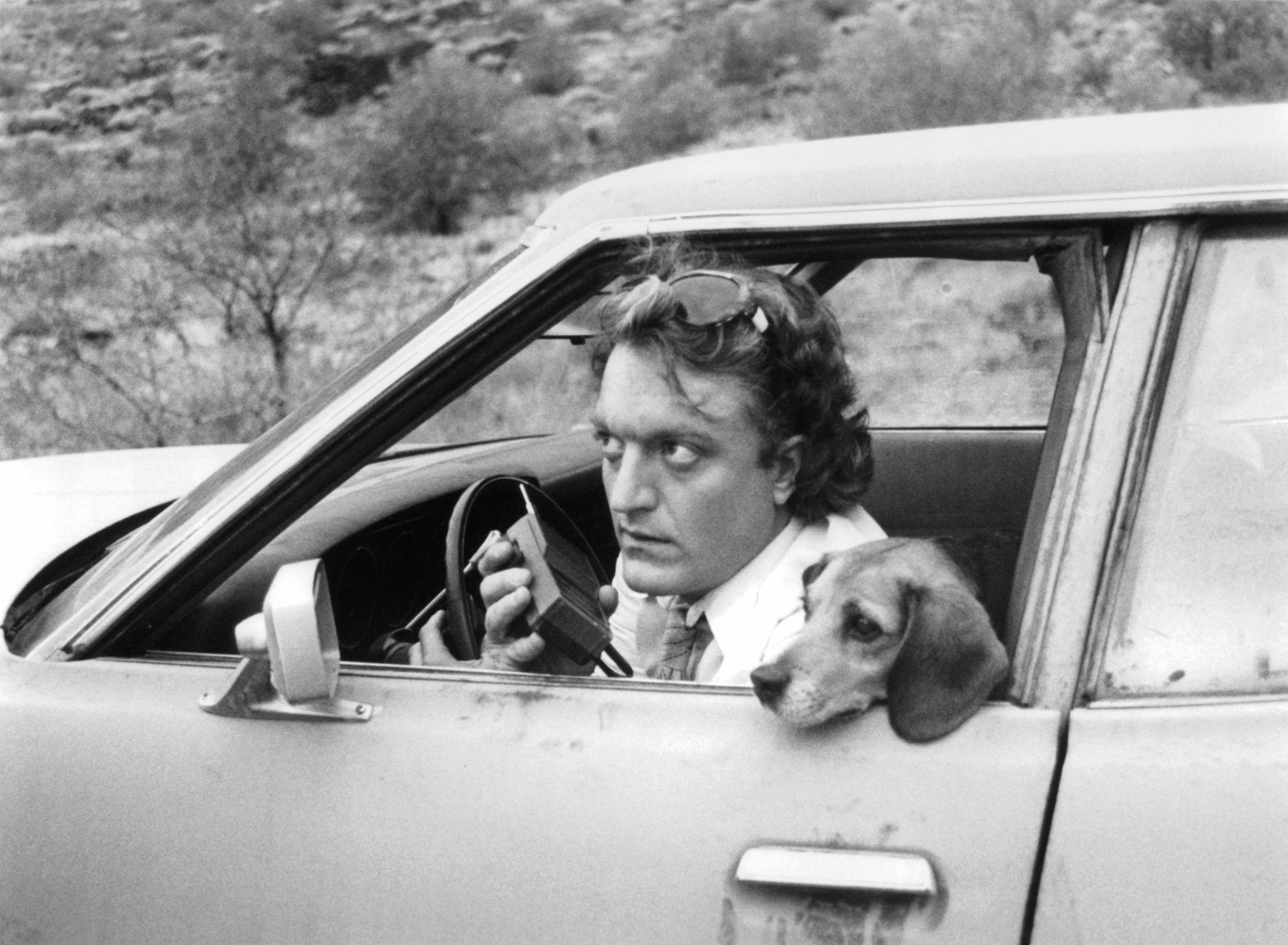 Still of Gerrit Graham in Used Cars (1980)