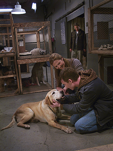 Still of Noel Fisher, Bruce Greenwood and Carrie Ruscheinsky in A Dog Named Christmas (2009)