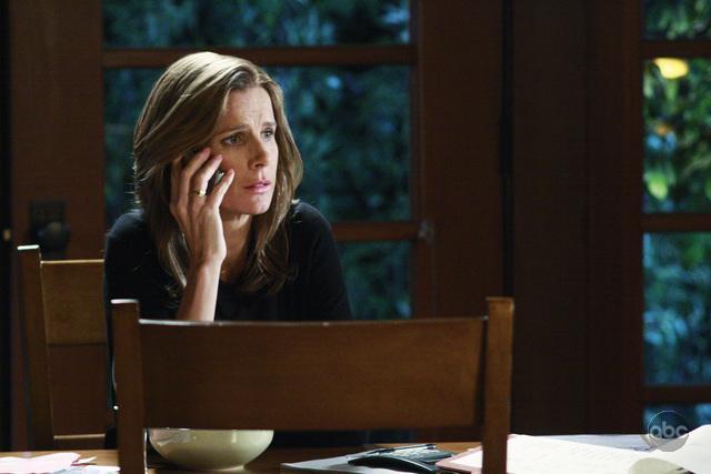 Still of Rachel Griffiths in Brothers & Sisters (2006)