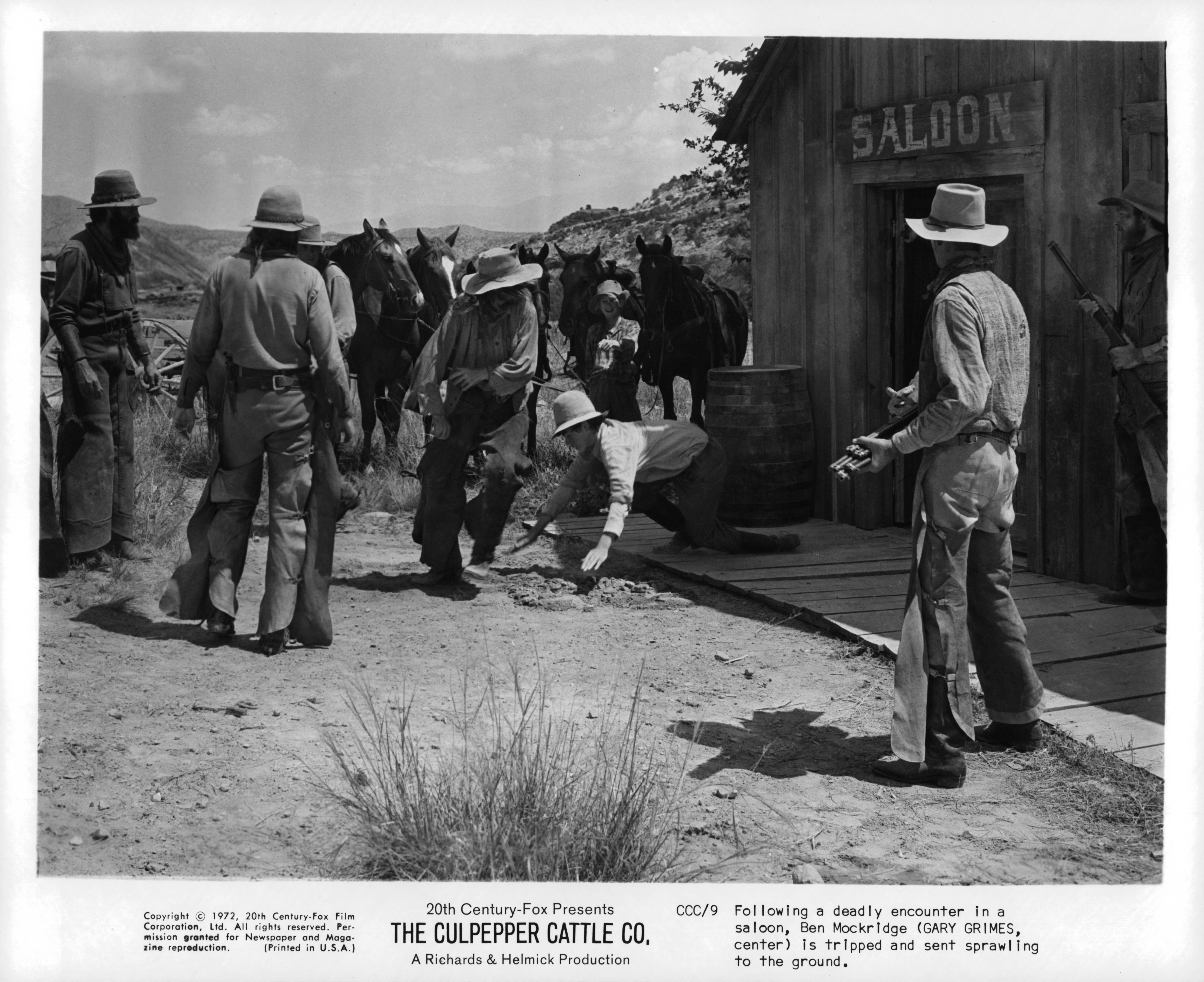 Still of Gary Grimes in The Culpepper Cattle Co. (1972)