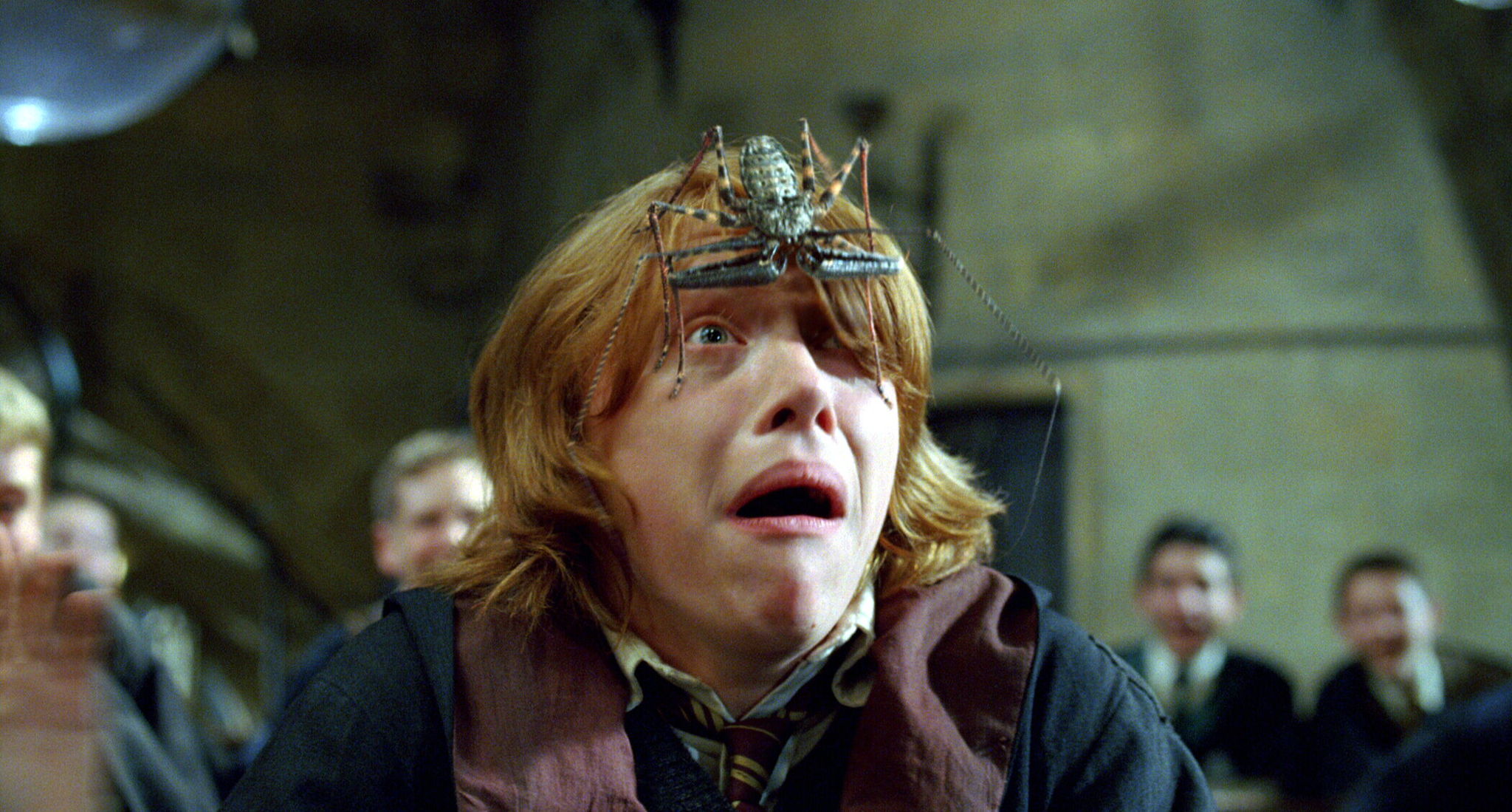 Still of Rupert Grint in Haris Poteris ir ugnies taure (2005)