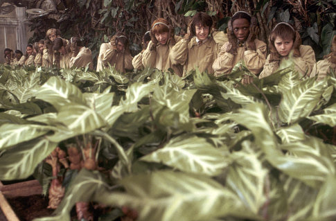 Harry (DANIEL RADCLIFFE), Ron (RUPERT GRINT) and other herbology students in the greenhouse.