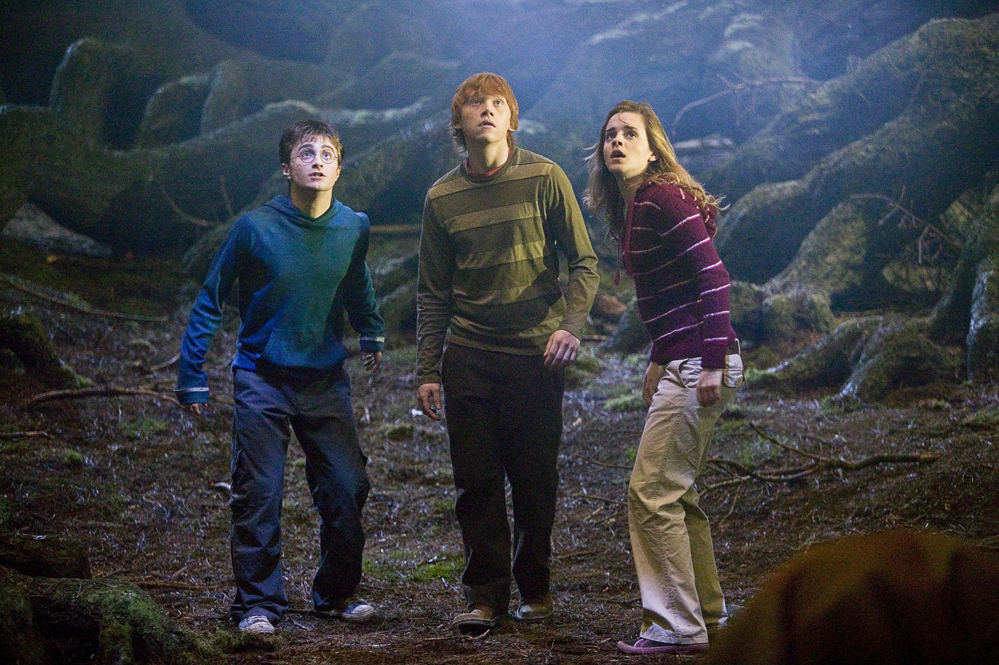 Still of Rupert Grint, Daniel Radcliffe and Emma Watson in Haris Poteris ir Fenikso brolija (2007)
