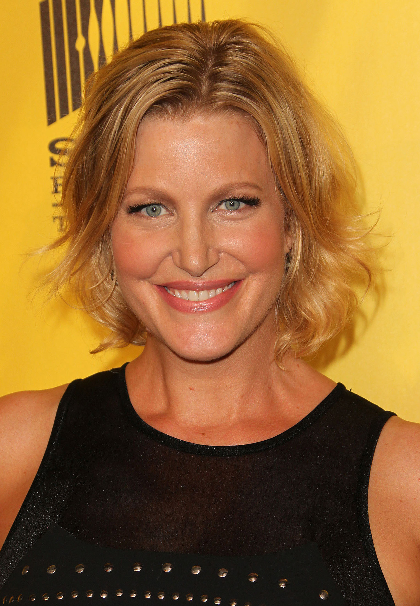 Anna Gunn at event of Brestantis blogis (2008)