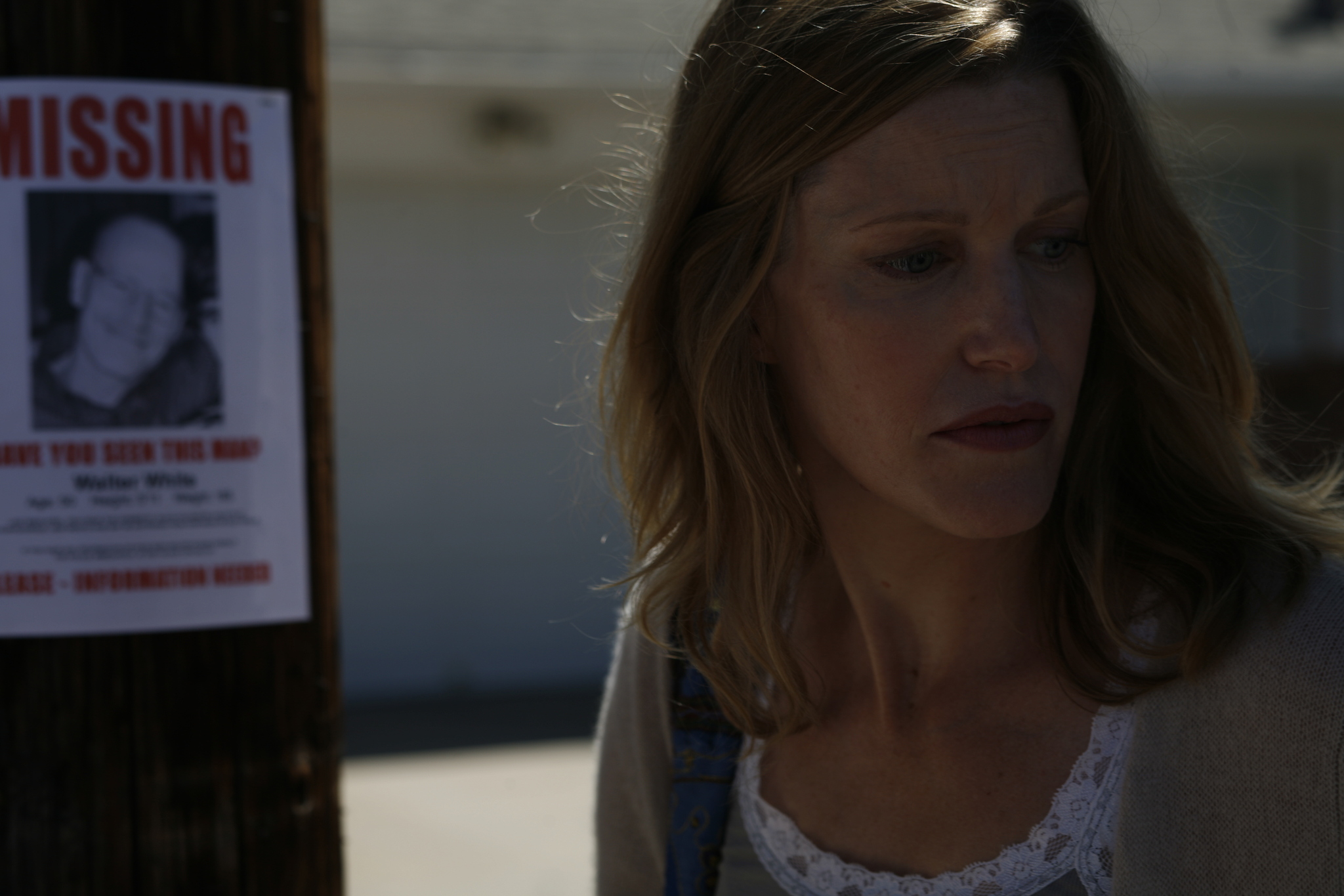 Still of Anna Gunn in Brestantis blogis (2008)