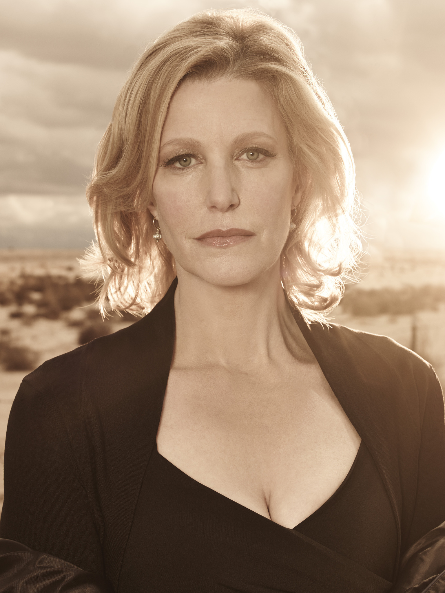 Still of Anna Gunn in Brestantis blogis (2008)