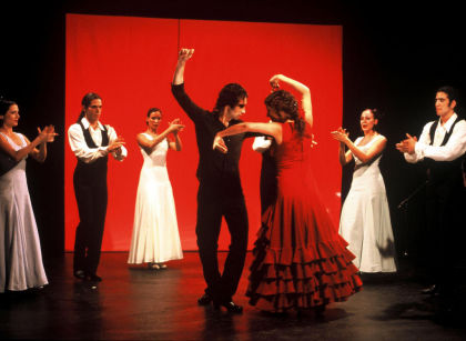 paulina galvez flamenco der liebe