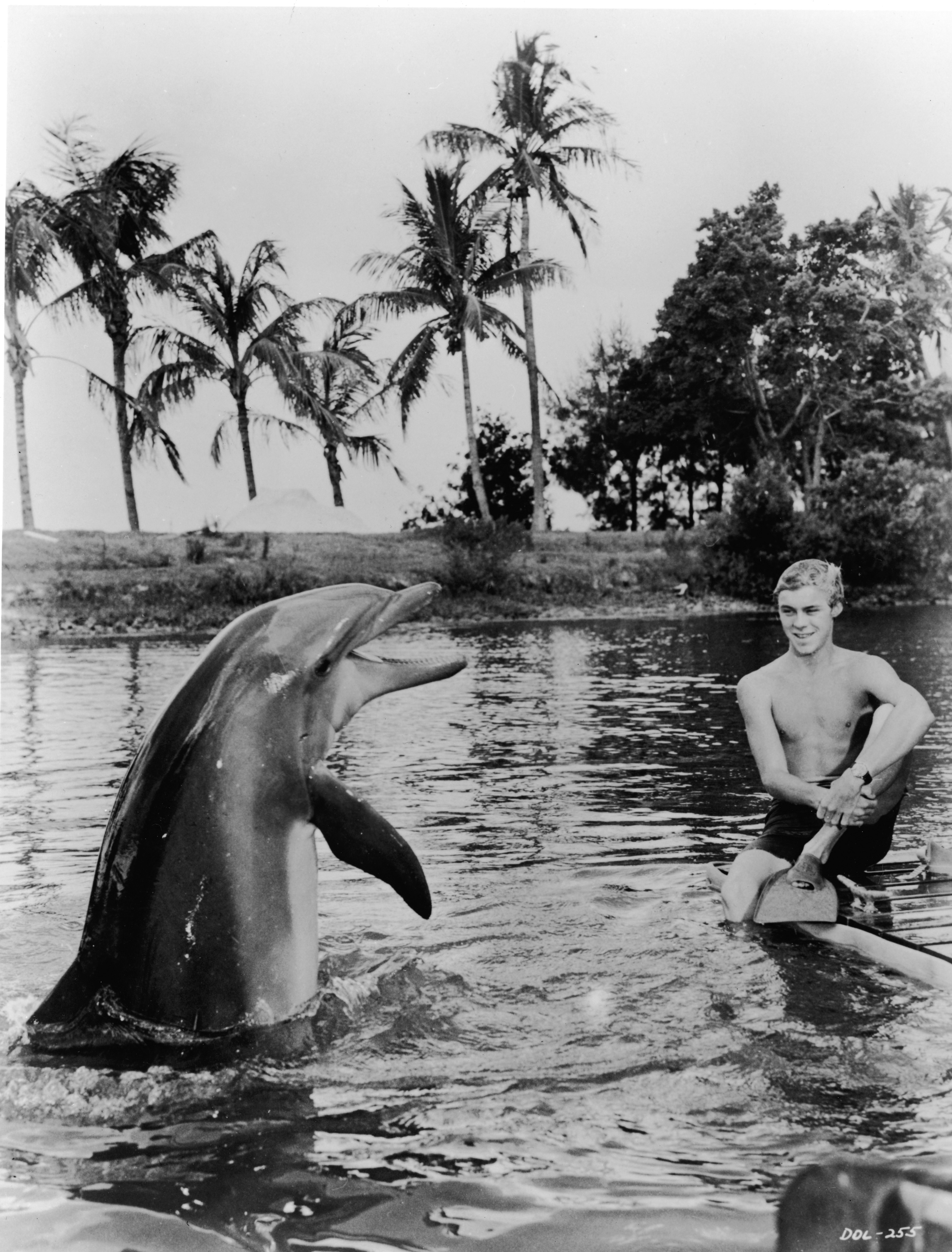 Still of Luke Halpin and Flipper in Flipper (1964)