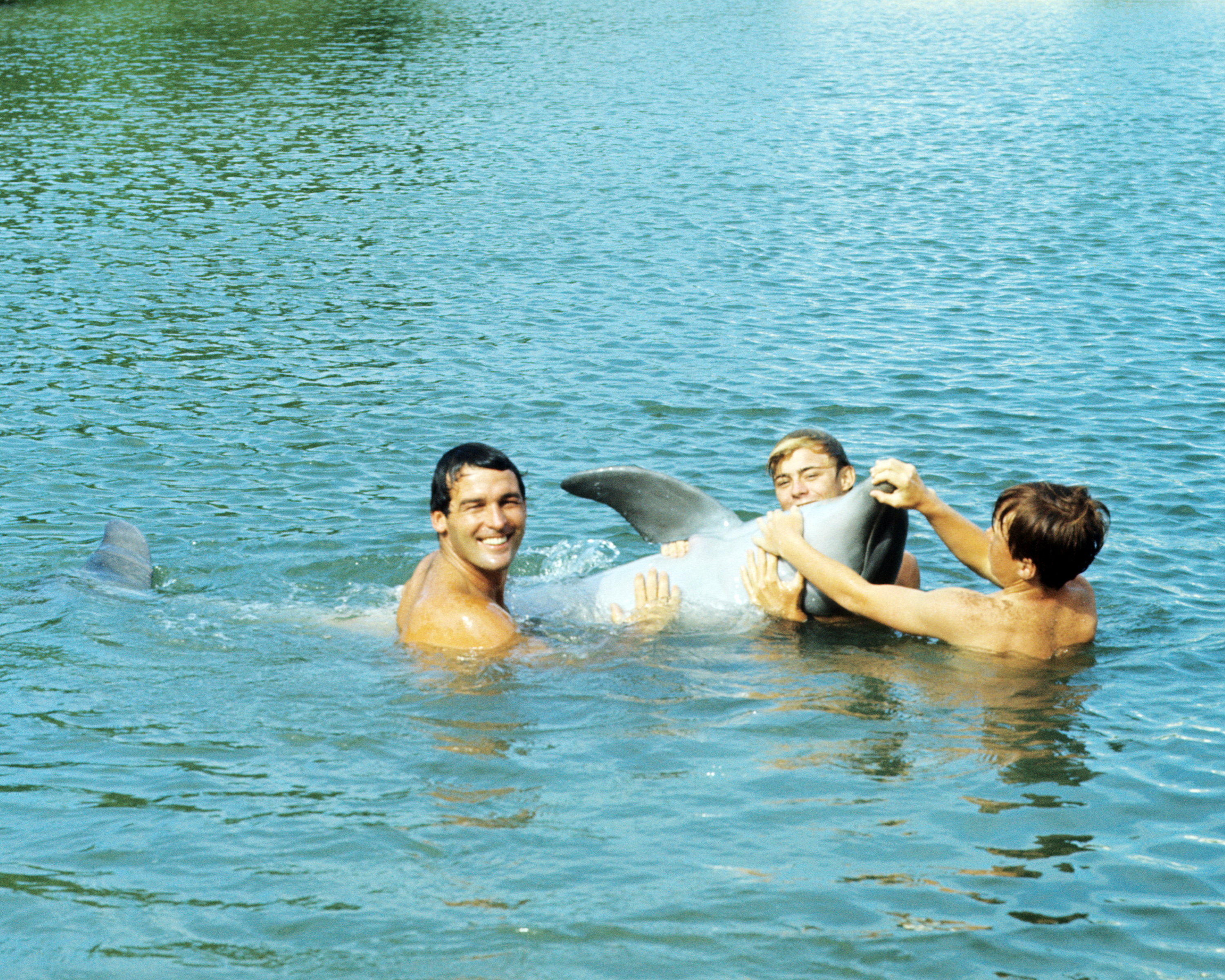 Still of Luke Halpin, Brian Kelly, Tommy Norden and Flipper in Flipper (1964)