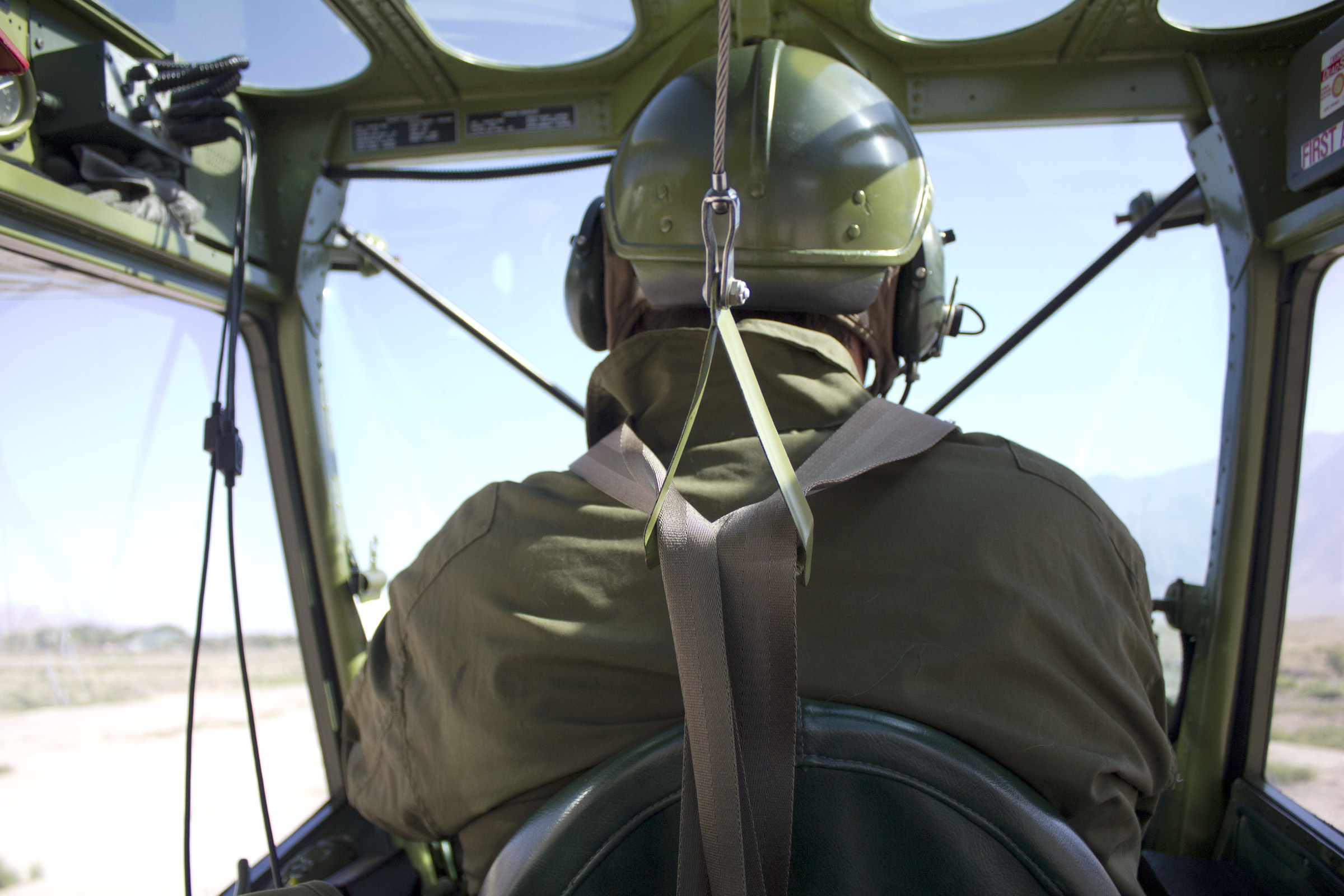 Interior Taking flight in Lone Pine CA