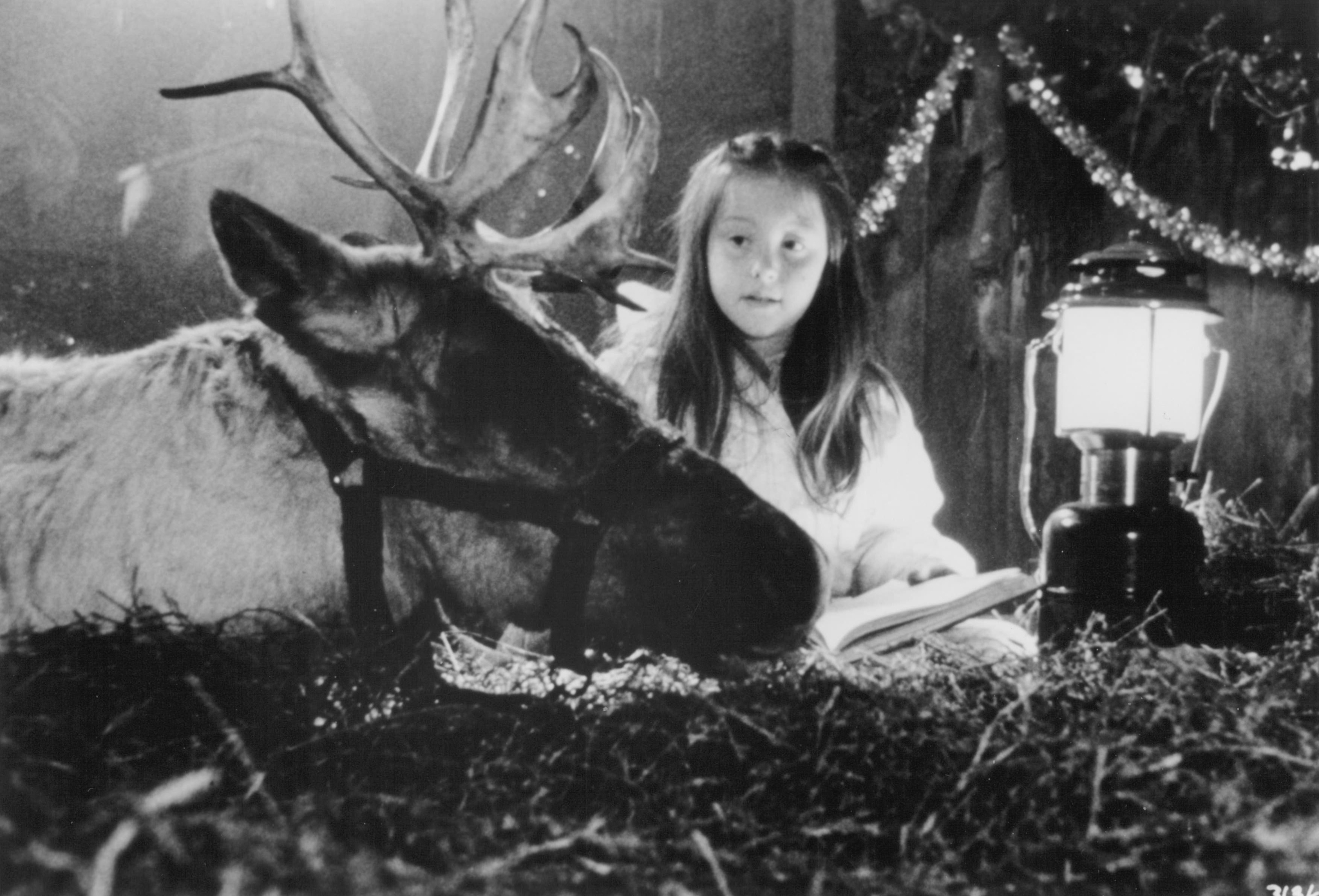 Still of Rebecca Harrell Tickell in Prancer (1989)