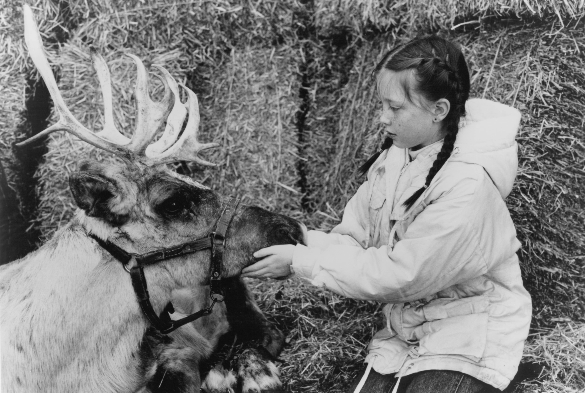 Still of Rebecca Harrell Tickell in Prancer (1989)