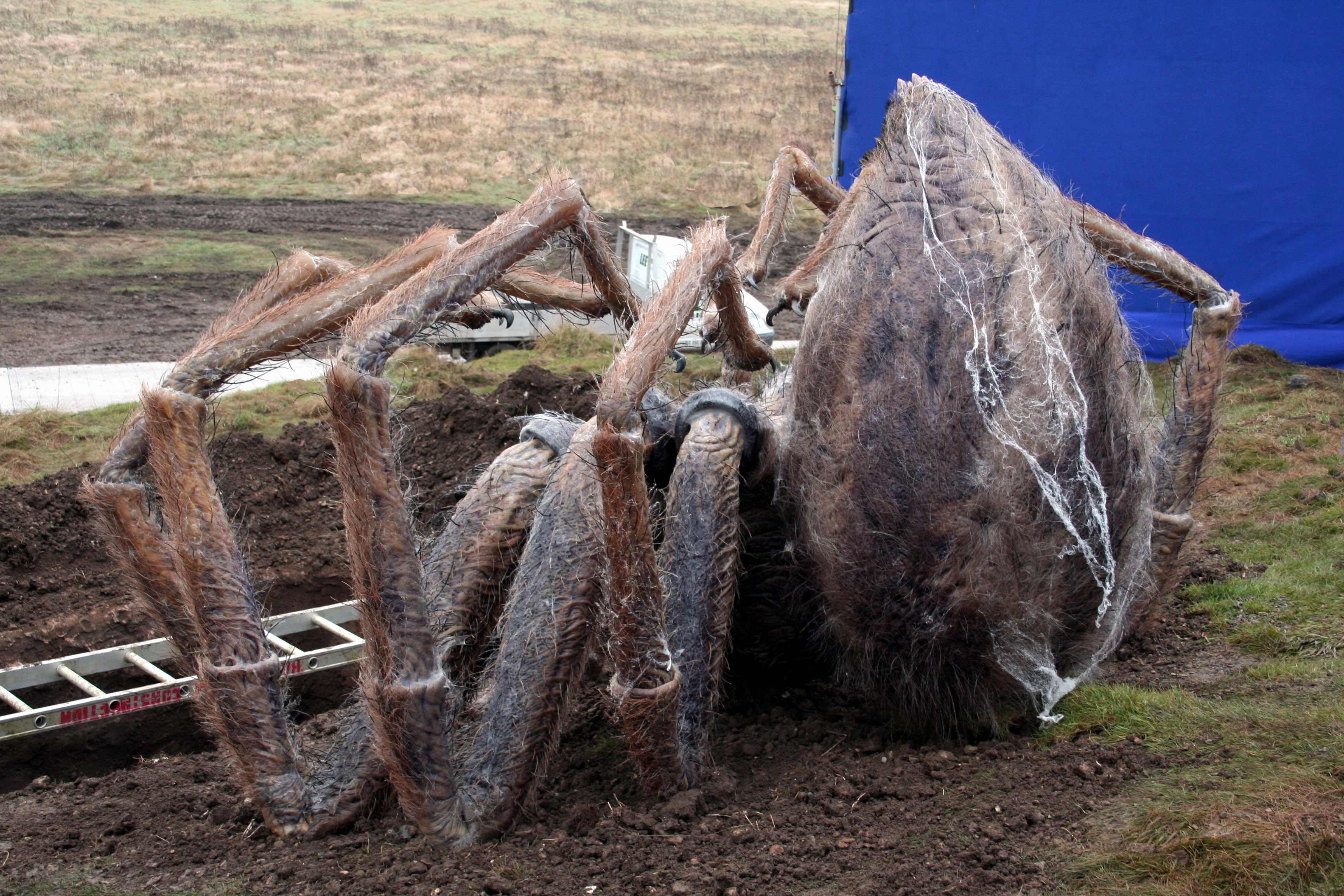 Harry Potter 6, sculptor & painter for the Aragog spider