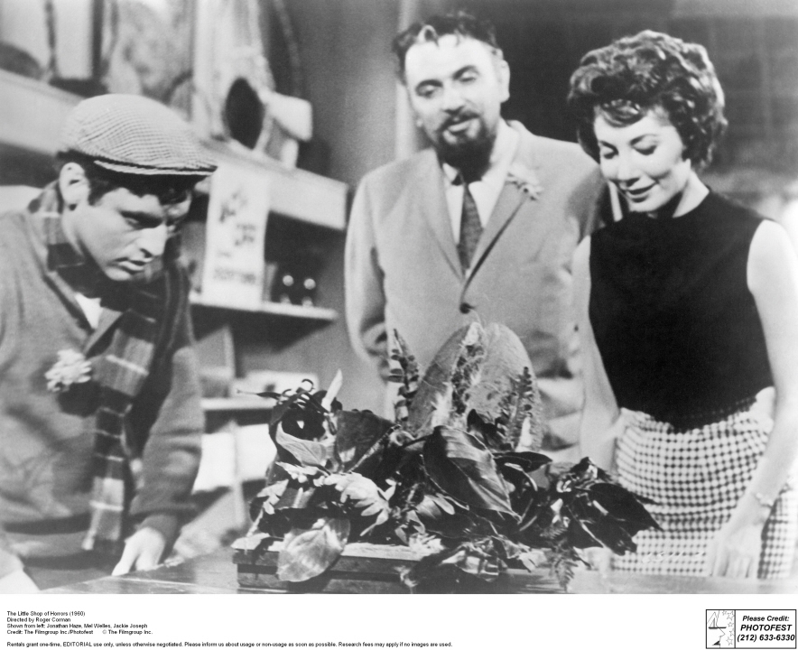 Still of Mel Welles, Jonathan Haze and Jackie Joseph in The Little Shop of Horrors (1960)