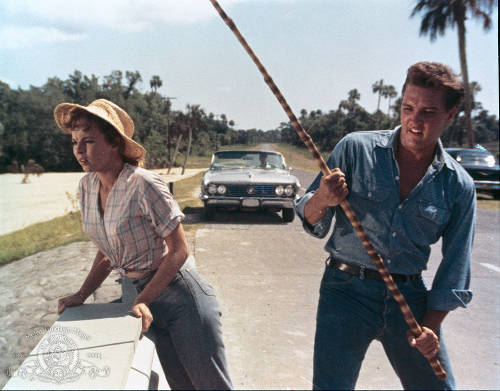 Still of Elvis Presley and Anne Helm in Follow That Dream (1962)