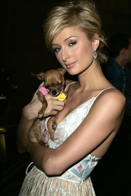 Paris Hilton and Tinkerbell the Dog