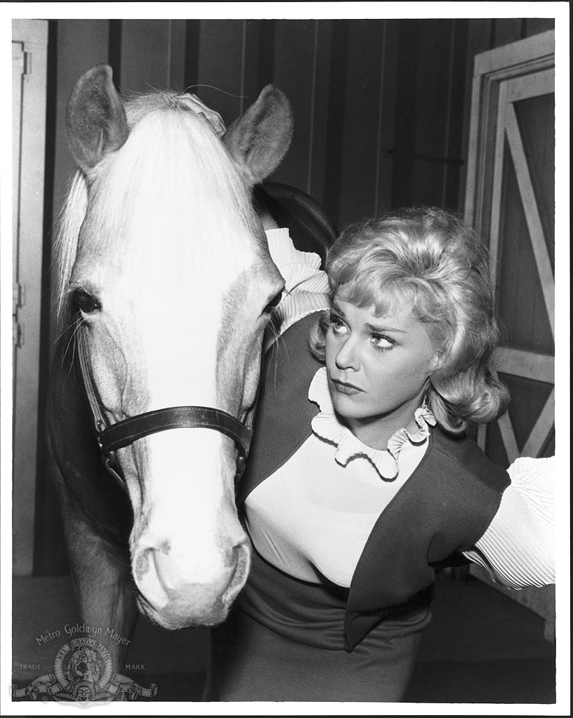 Still of Connie Hines in Mister Ed (1958)
