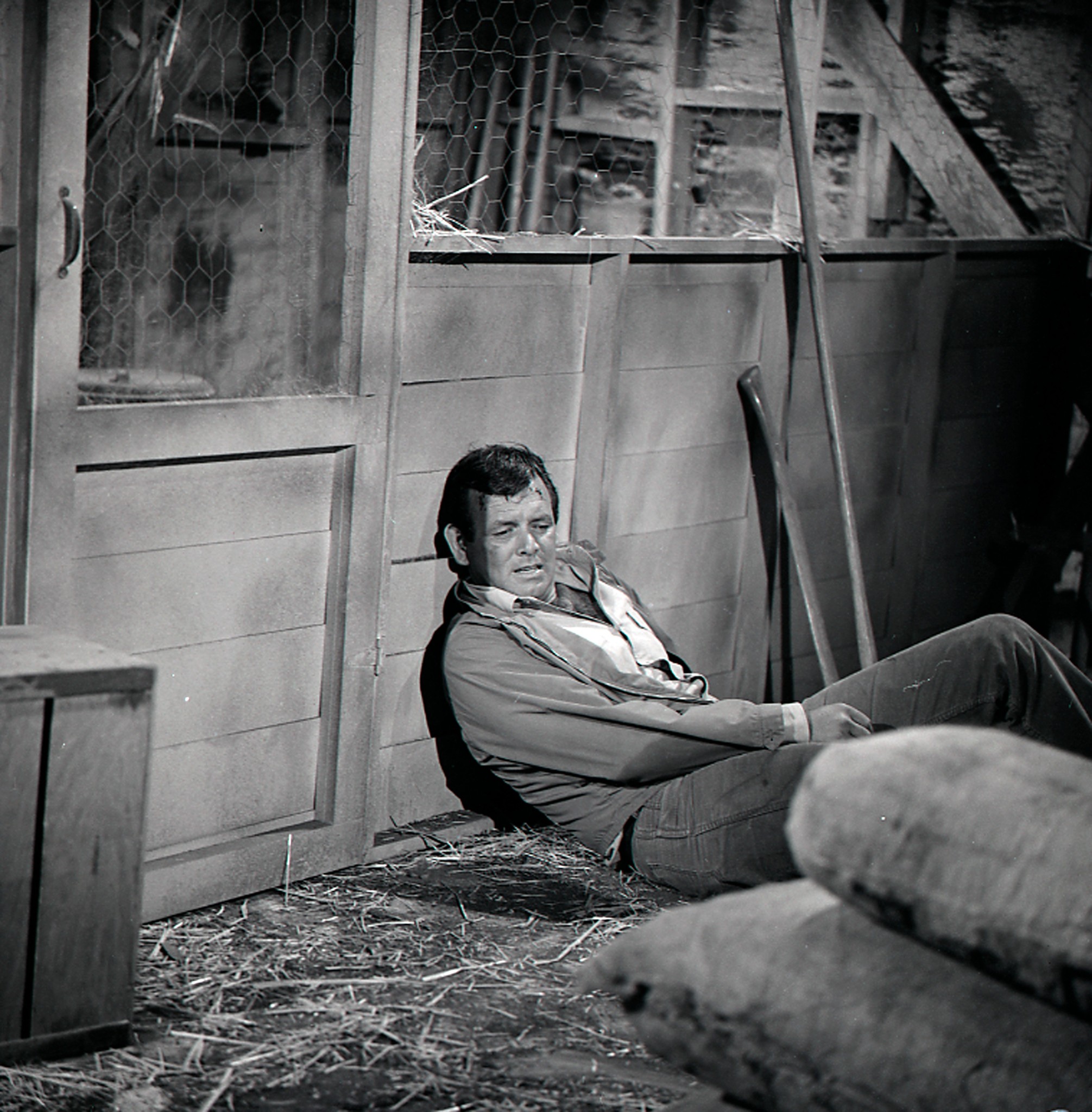 Still of David Janssen in The Fugitive (1963)