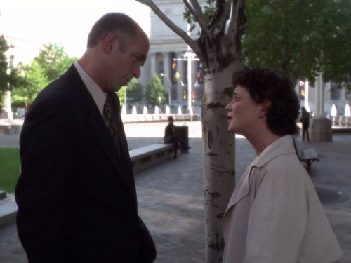 Still of Moira Kelly in The West Wing (1999)