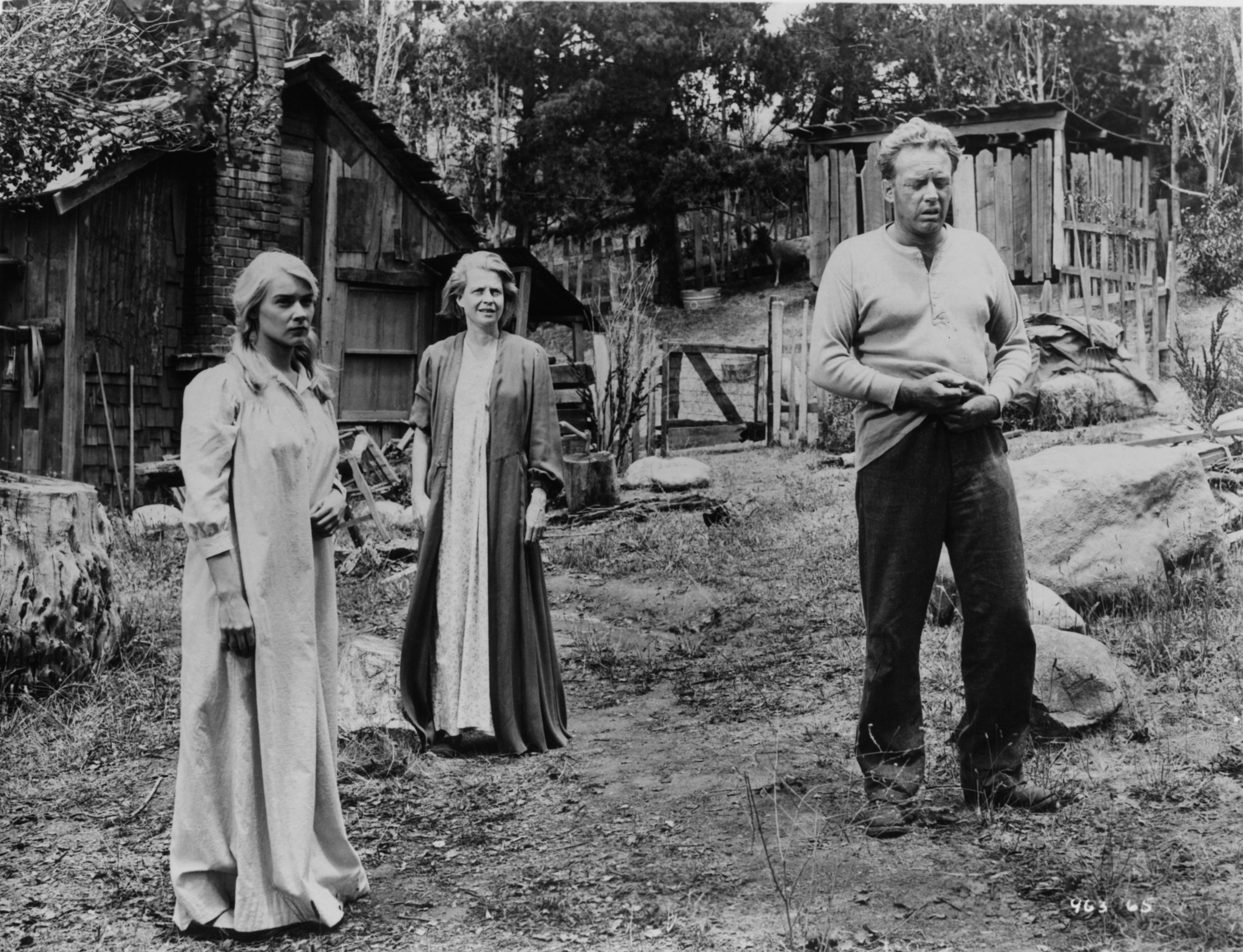 Still of Betty Field, Arthur Kennedy and Hope Lange in Peyton Place (1957)