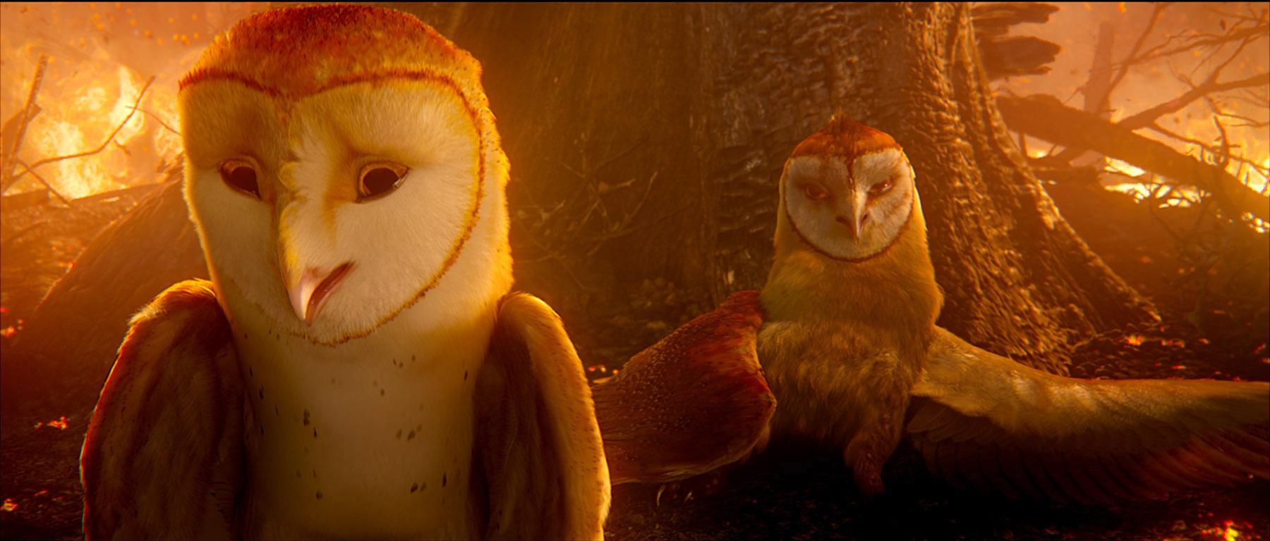 Still of Ryan Kwanten and Jim Sturgess in Legend of the Guardians: The Owls of Ga'Hoole (2010)