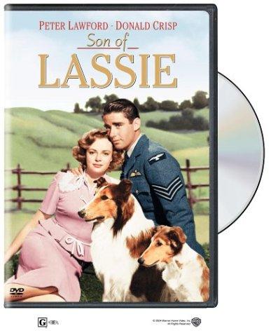 June Lockhart, Peter Lawford and Pal in Son of Lassie (1945)