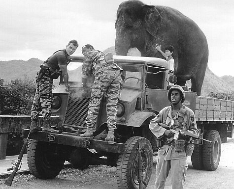 Still of Danny Glover, Ray Liotta, Doug E. Doug and Dinh Thien Le in Operation Dumbo Drop (1995)