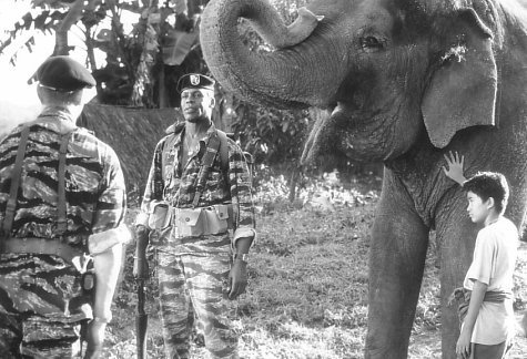 Still of Danny Glover, Ray Liotta and Dinh Thien Le in Operation Dumbo Drop (1995)